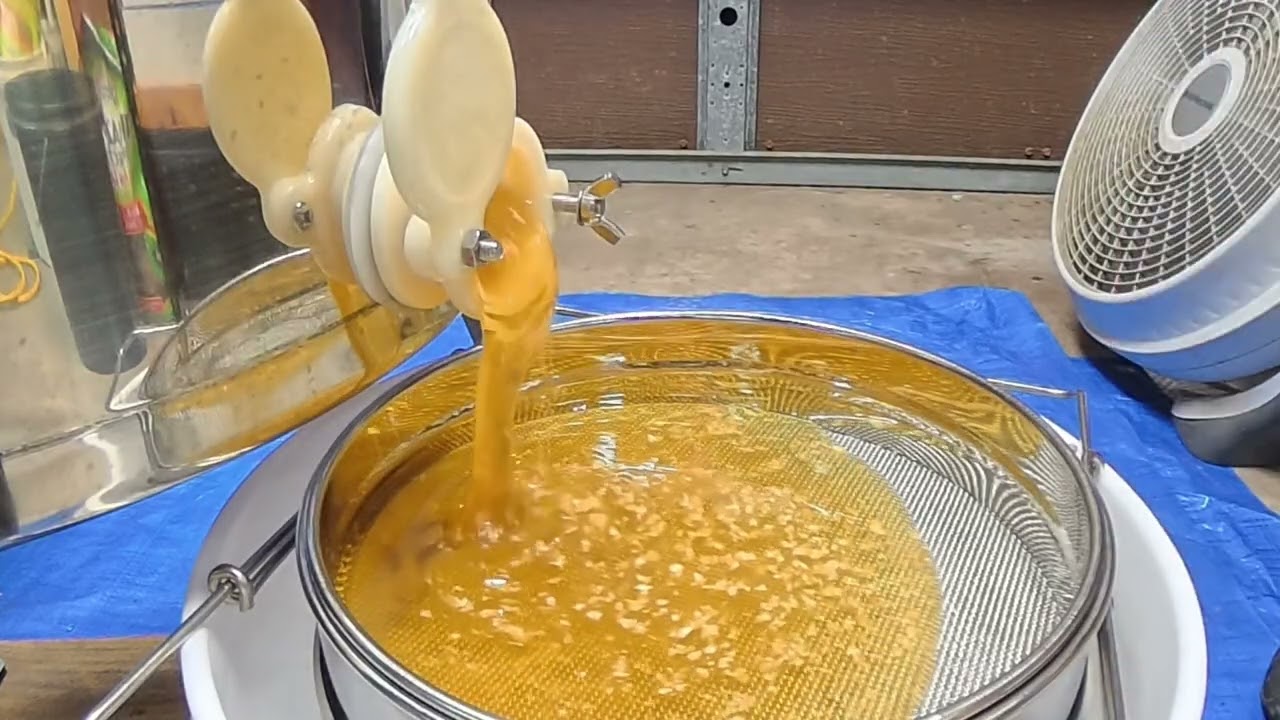 Extracting Honey with Bee Clean-Up