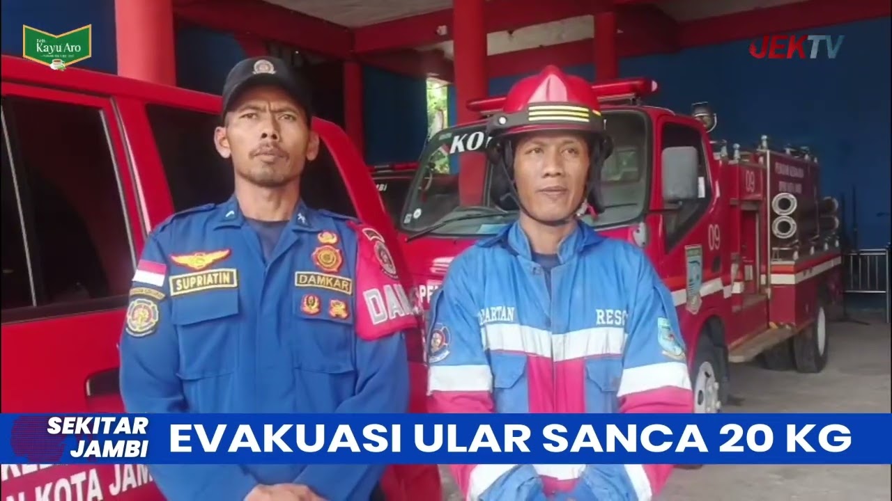 EVAKUASI ULAR SANCA 20 KG
