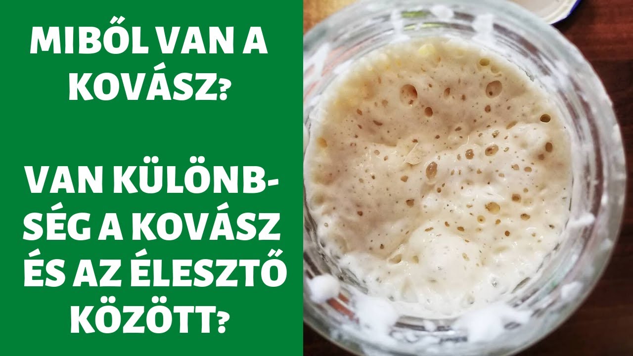 Miből van a kovász? Mi a különbség a kovász és az élesztő között?