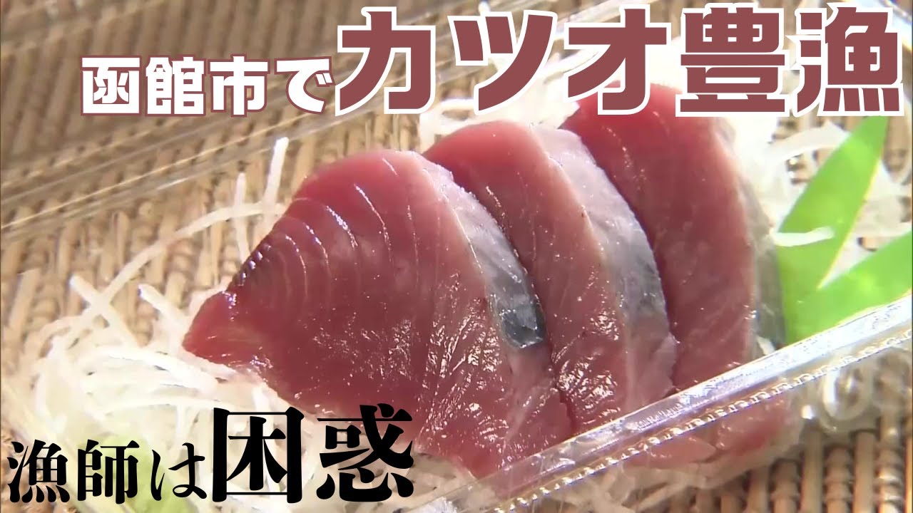 「イカの街」北海道函館に異変…普段とれない