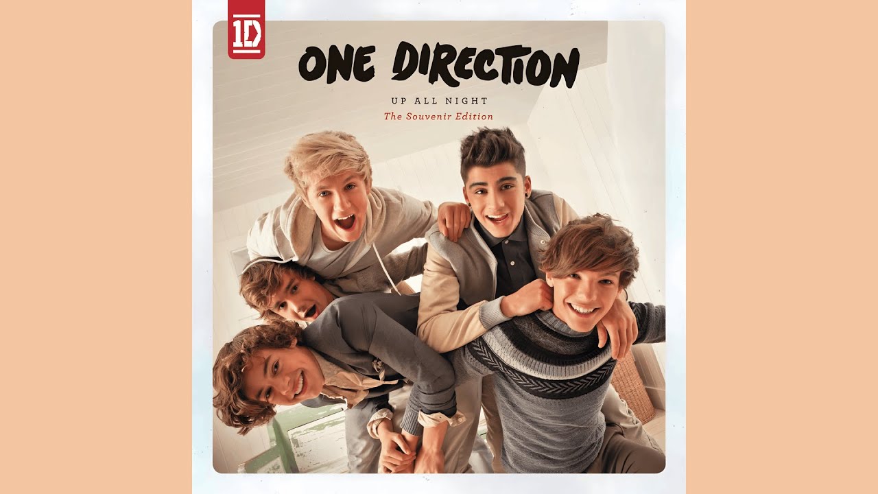One Direction - Everything About You (Studio Acapella)