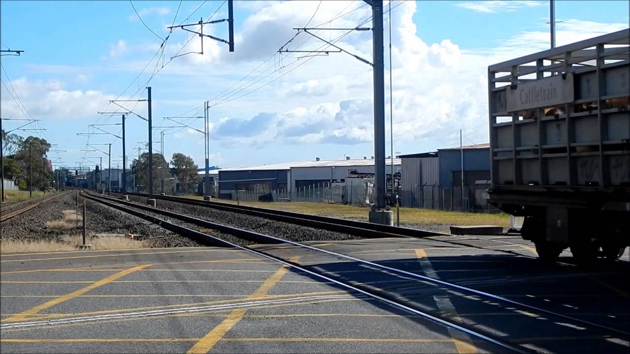 Queensland Rail & Aurizon - Sunshine Part 1