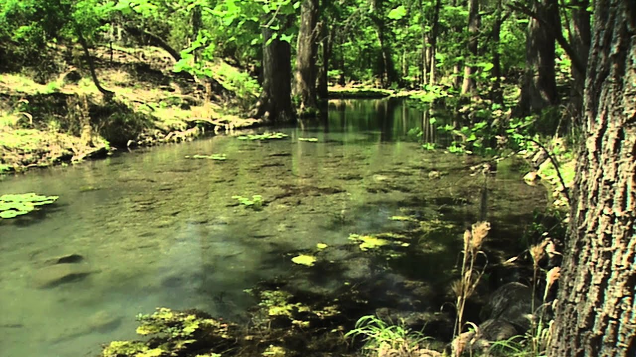 Fishing for Conservation: Texas Aquatic Science: Chapter 13