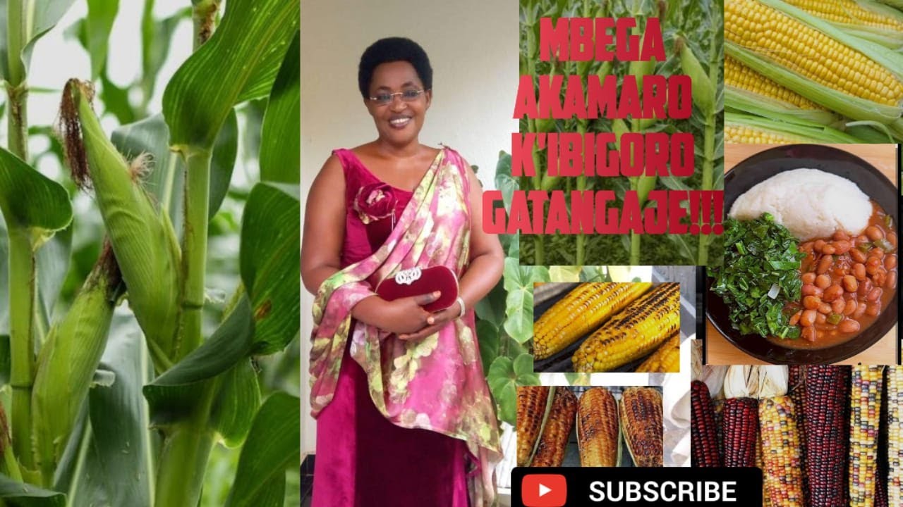 EP.029.AKAMARO K'IBIGORI GATANGAJE!WARI UZIKO IMISATSI Y'IBIGORI ARI UMUTI? UKUNDA AKAWUNGA?KURIKIRA