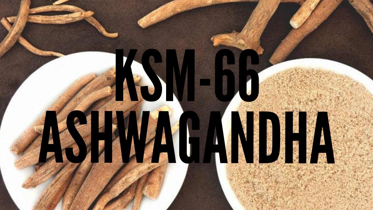 KSM-66 Ashwagandha: единственный вид, который стоит принимать!