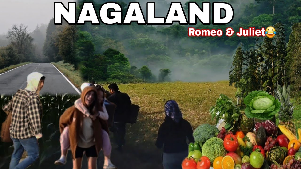 Village Life Of NAGALAND | Northeast India | Naga Youths 