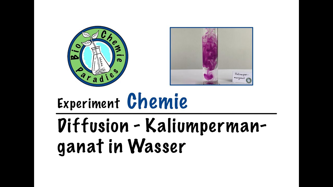 Experiment Chemie - Diffusion - Kaliumpermanganat in Wasser