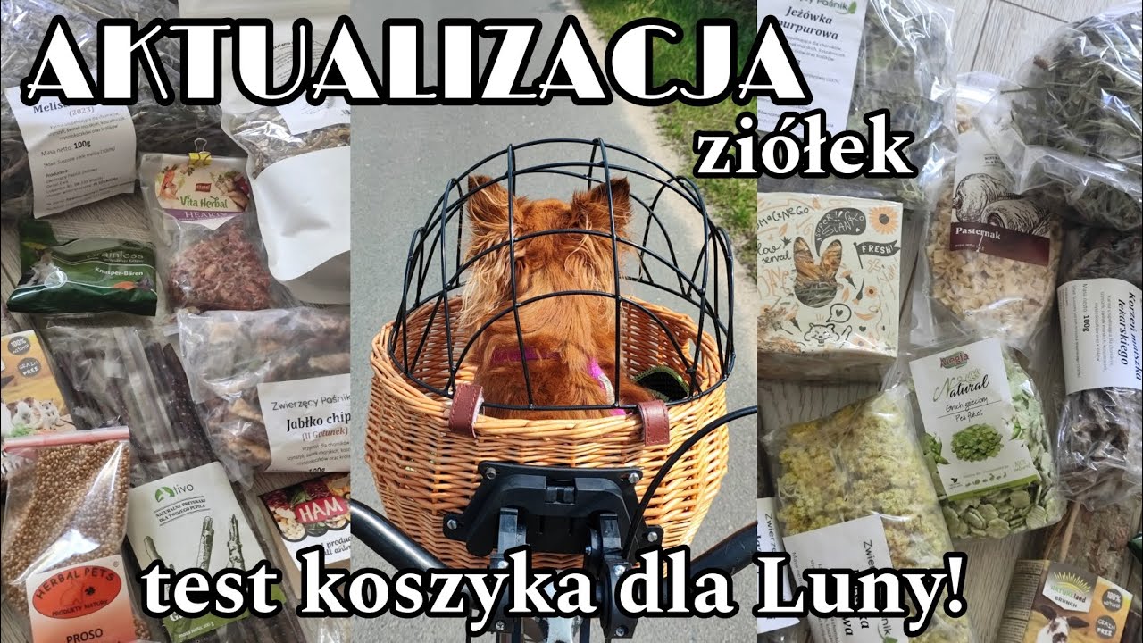 AKTUALIZACJA SPIŻARNI KRÓLIKA I CHOMIKA 🐇🌷