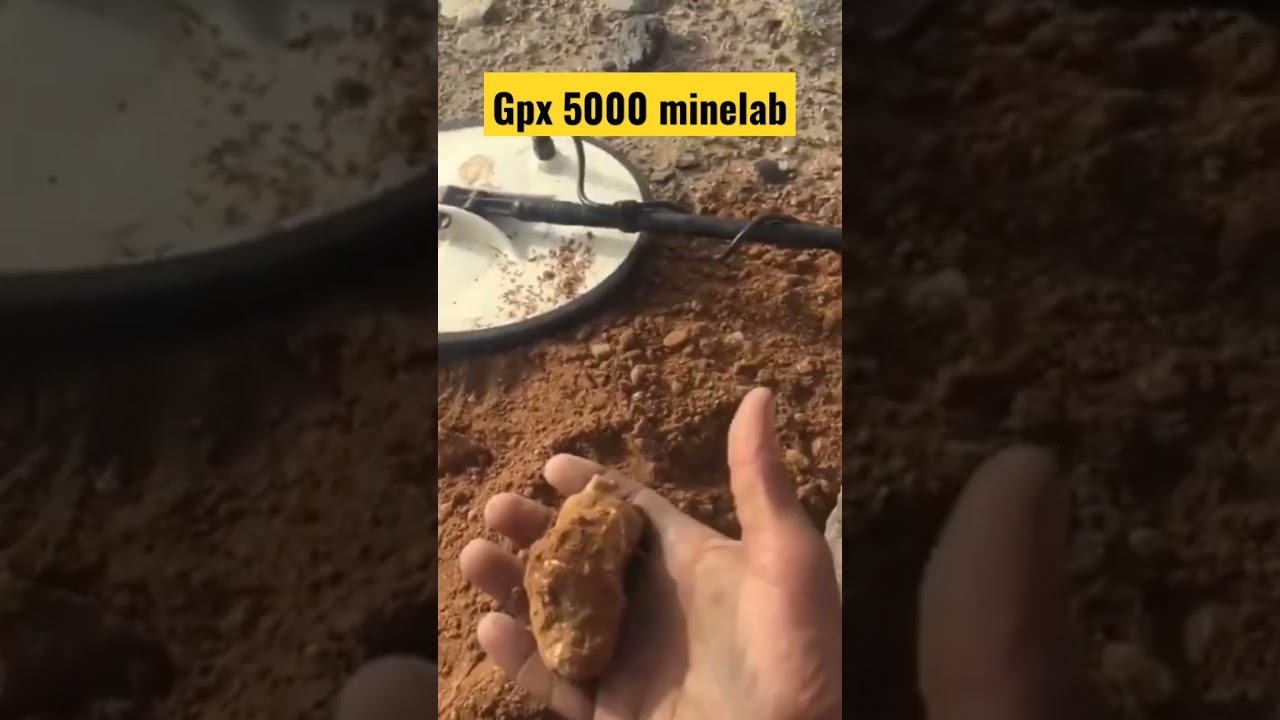 GPX 5000 MINELAB #shorts #viral #minelab #shortvideo #golddetector