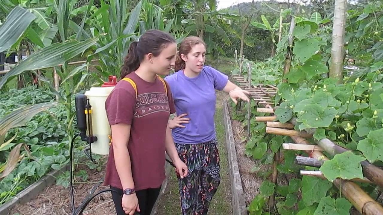 Sustainable Agriculture in Thailand - Natural Pesticide