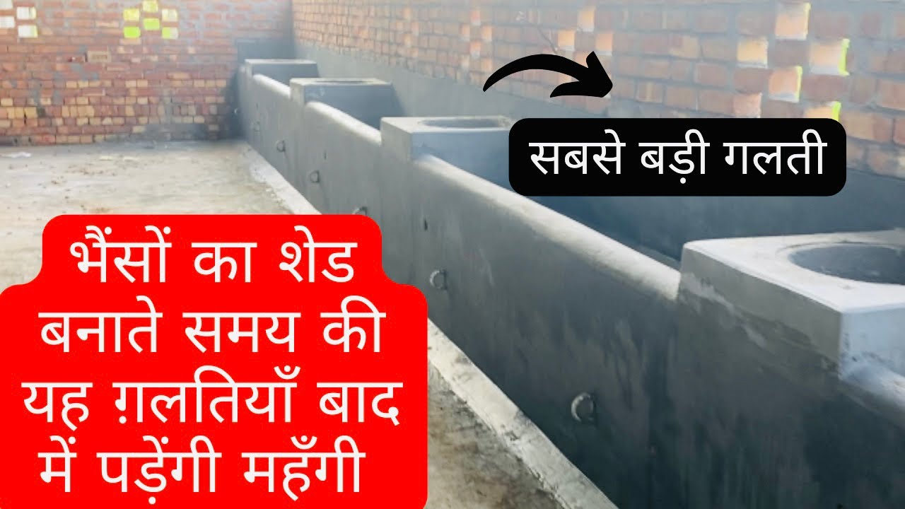 भैंसों का शेड बनाते समय ना करे यह ग़लतियाँ ॥ Avoid These Mistakes When Making Sheds For Buffaloes.