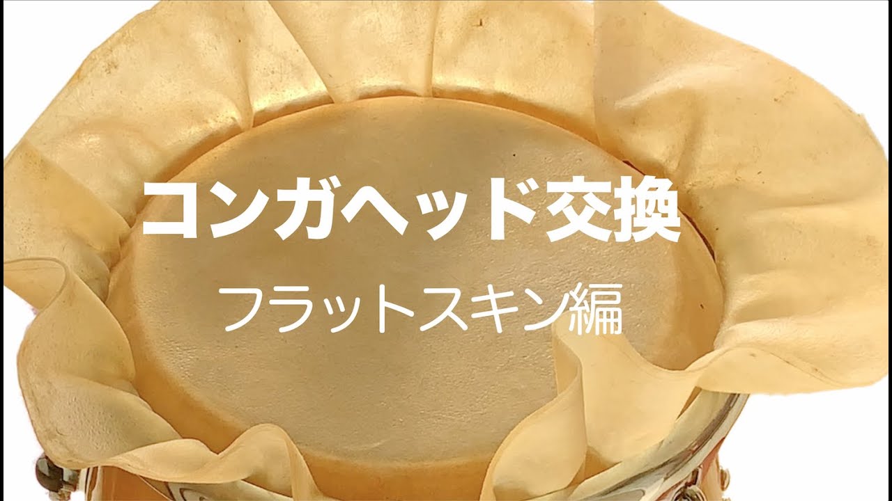 コンガヘッド交換 フラットスキン編