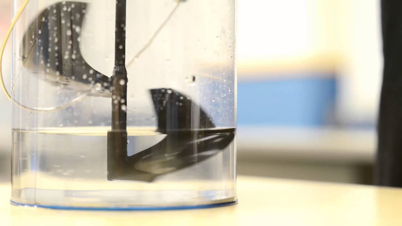Students Take Aim at Global Water Crisis