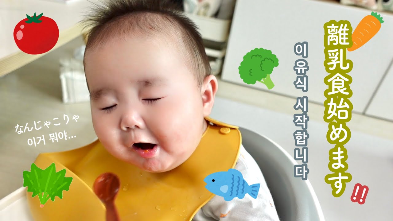 離乳食始めます！！ 이유식 시작합니다!! [日韓夫婦/生後5ヶ月/한일부부/생후5개월]