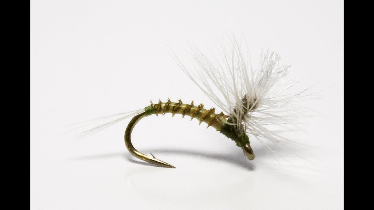 Blue Wing Olive Parachute