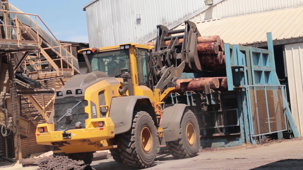 Manutention de Troncs, Grumes avec la Pince à Bois RIMAN dans la société industrielle THEBAULT