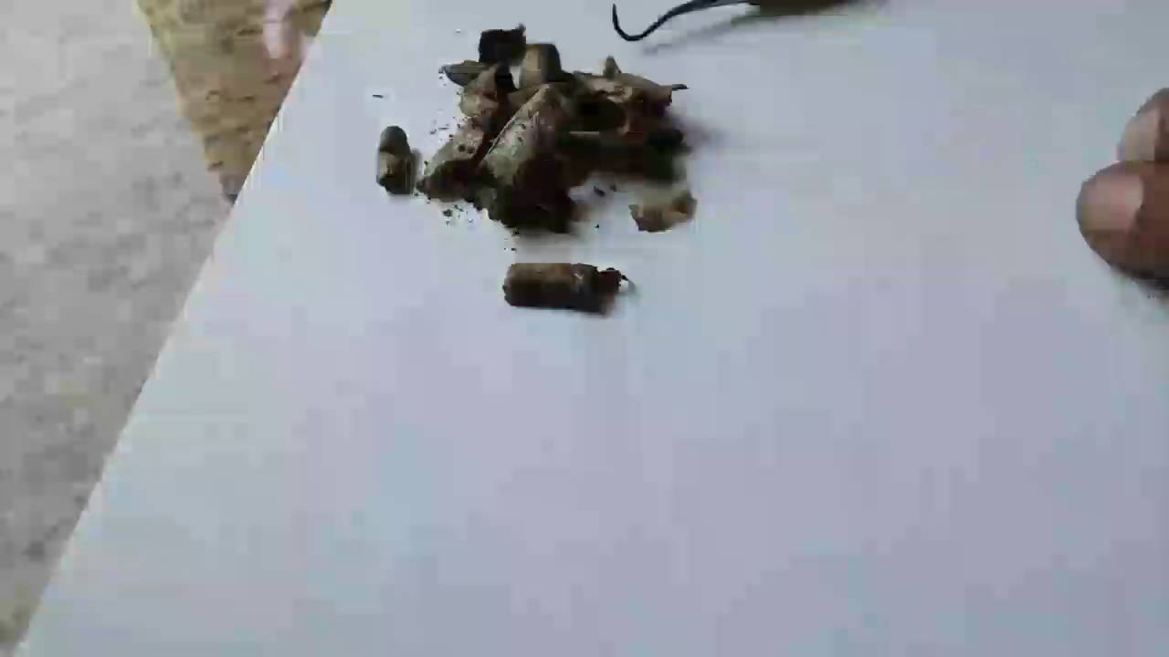 20 ROACH JOINT (pays to save roaches)