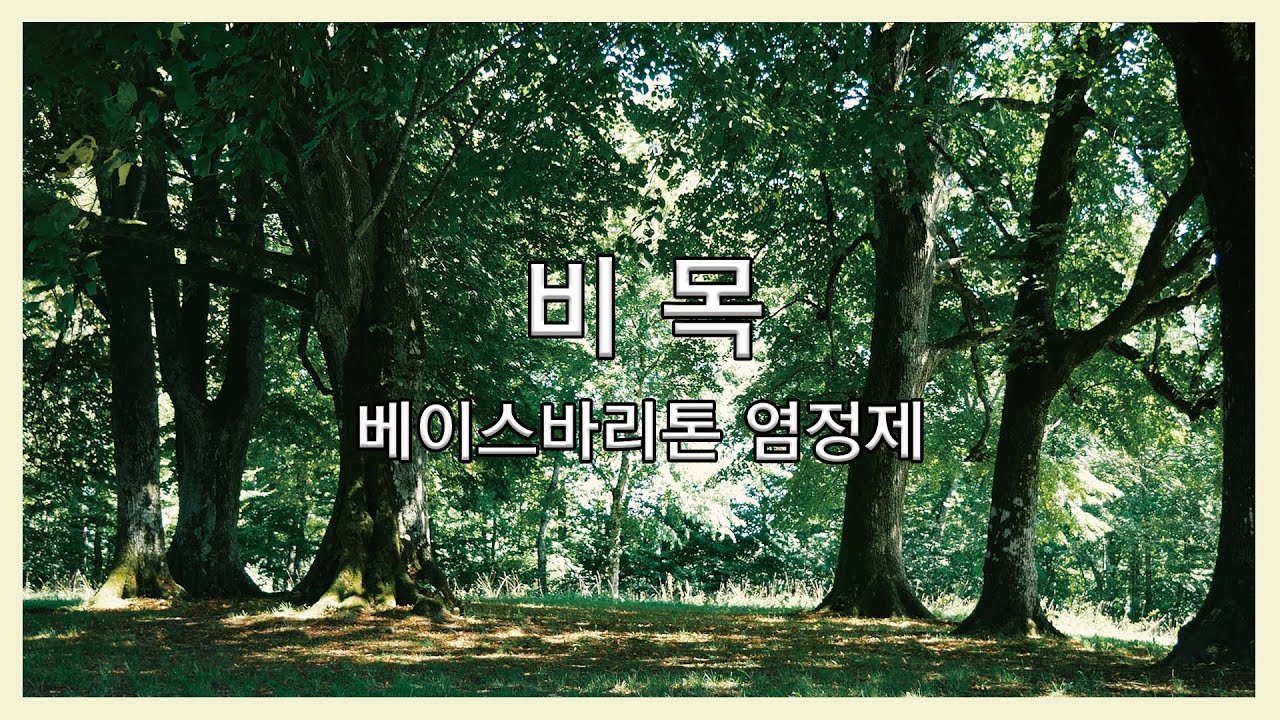 비목 - 베이스바리톤 염정제 Jeongje Yeom (한명희 시, 장일남 곡)
