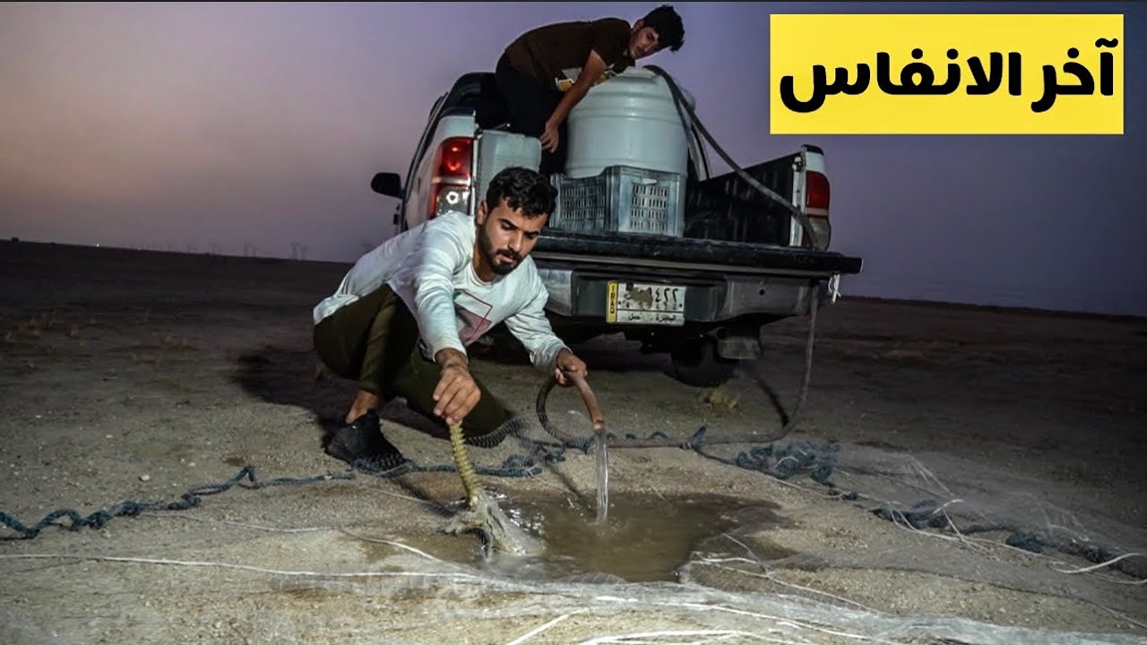 صيد الضب على الطريقة السعودية