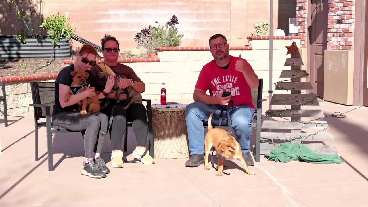 TLRD Virtual Adoption Event
