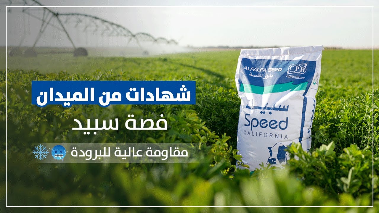 SPEED شهادات من الميدان - فصة سبيد