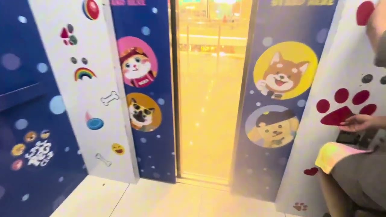 (Remade) Hyundai Elevator Lift At St. Rosa City SM, Philippines