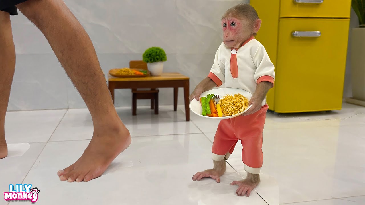 Lily obediently helps Dad prepare fried noodles for breakfast