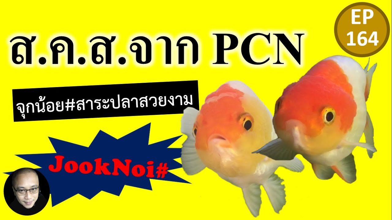 Happy Unboxing ส.ค.ส.จาก 