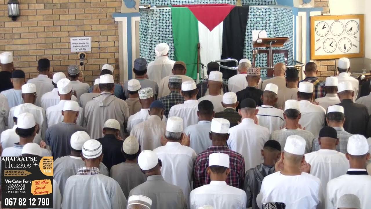 Live Stream