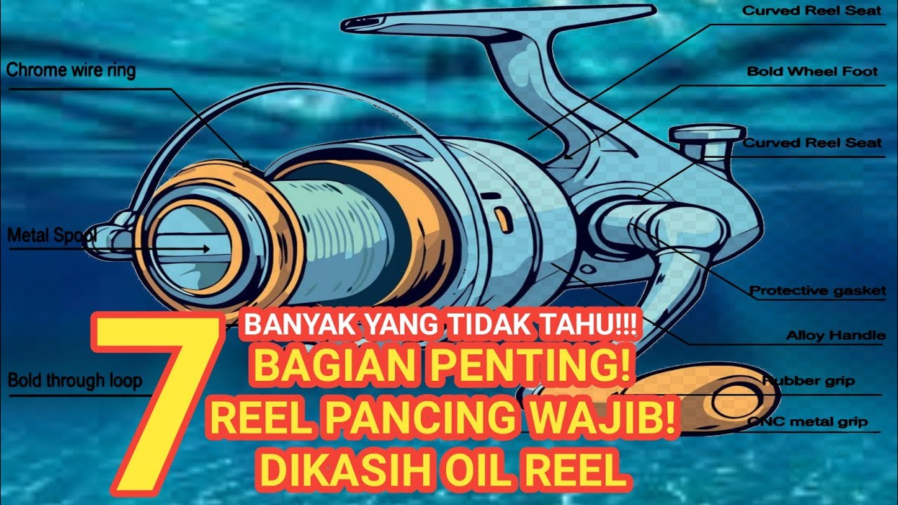 7 Cara Benar Melumasi Reel Pancing