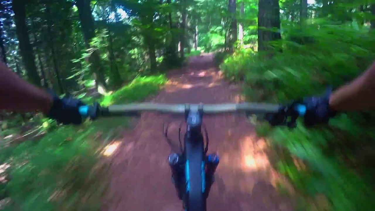 MTB Weißer Stein nach Schriesheim - Canyon Strive inkl. Sturz