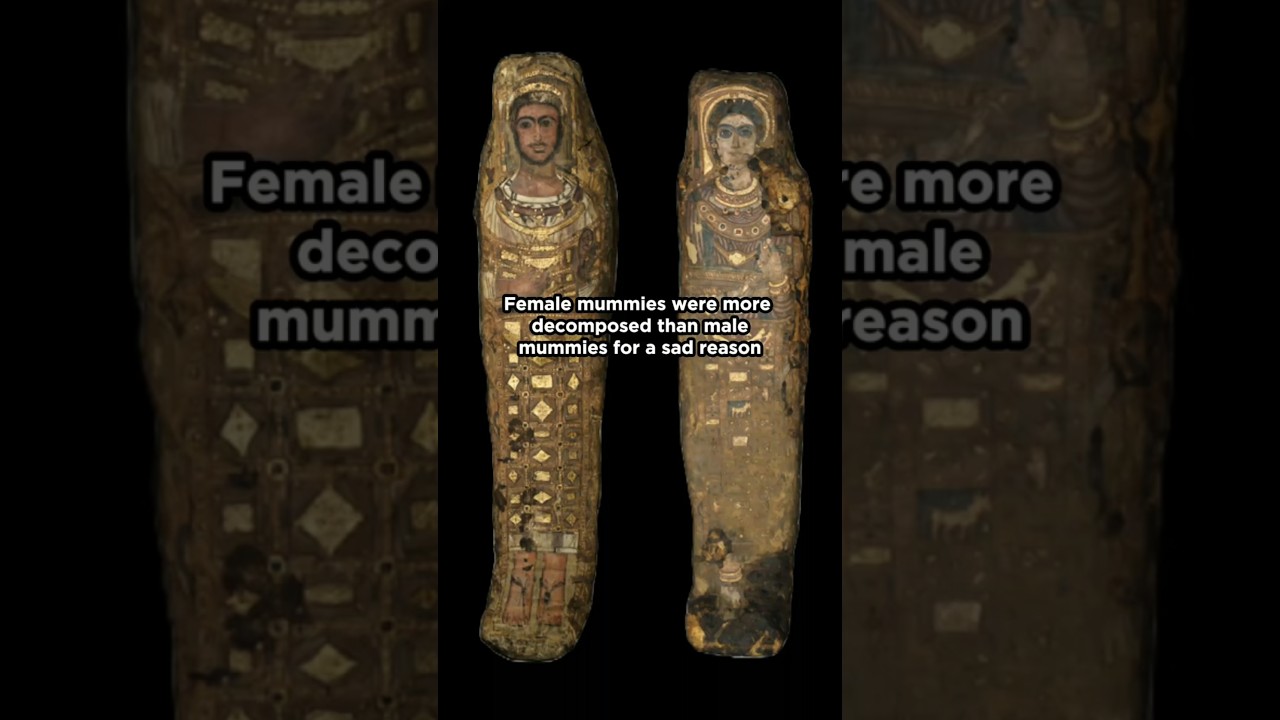 The Rare Burial Practice That Protected Women in Ancient Egypt #history #ancientegypt #archaeology