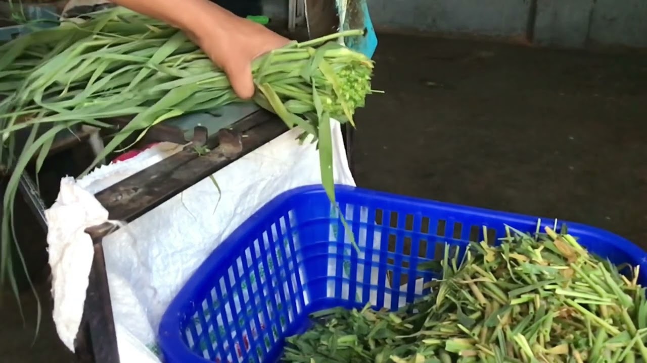 manual chaff cutter || safe to install operate and use || blade available in all farm equipment shop