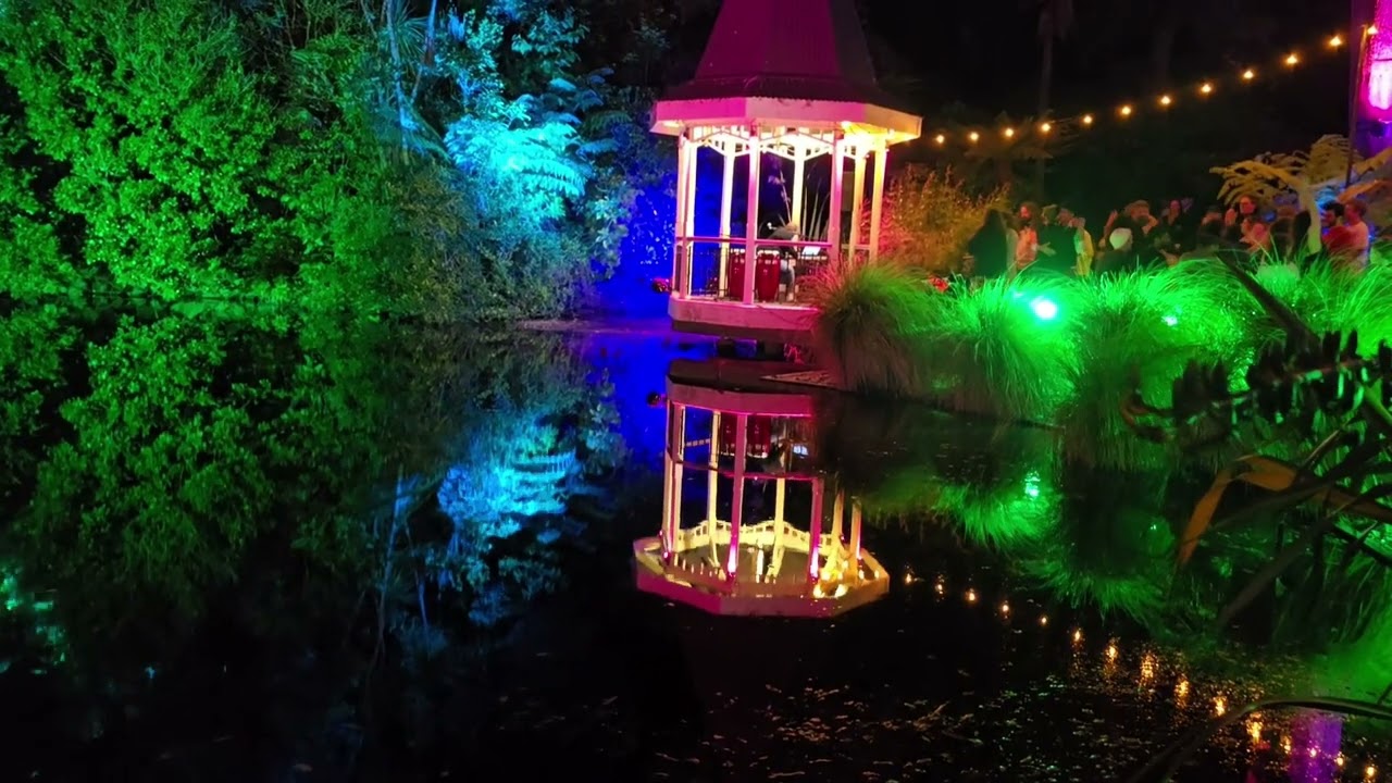 Wellington Garden Magic | Lights | Fun | Concert #fun #light #garden 