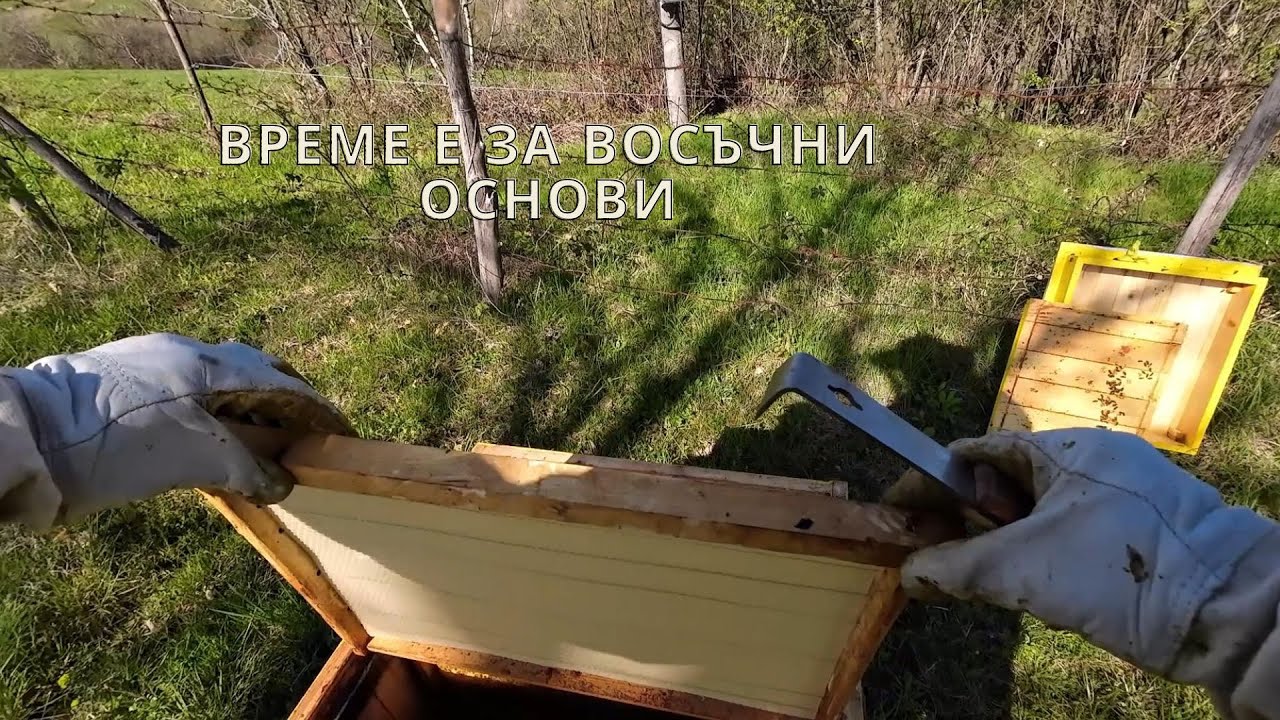 ВРЕМЕ Е ЗА ВОСЪЧНИ ОСНОВИ