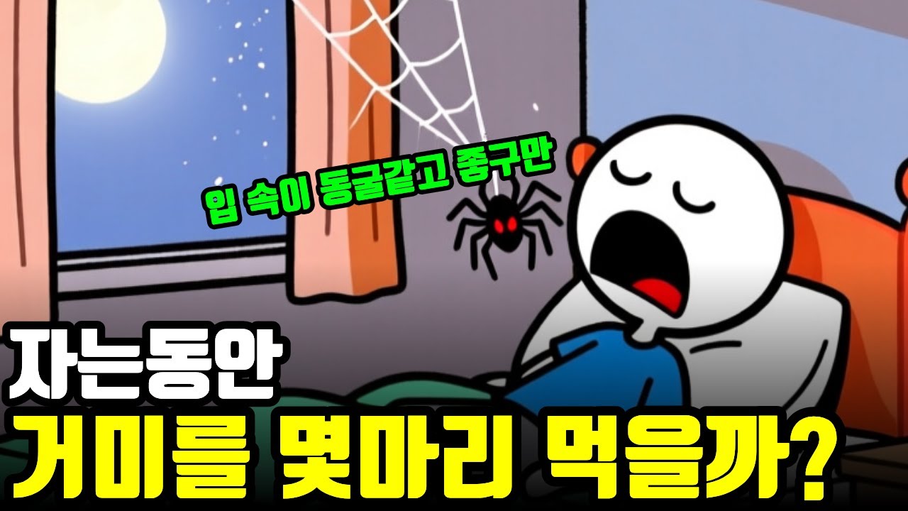 자면서 거미를 먹는다는 괴담의 진실