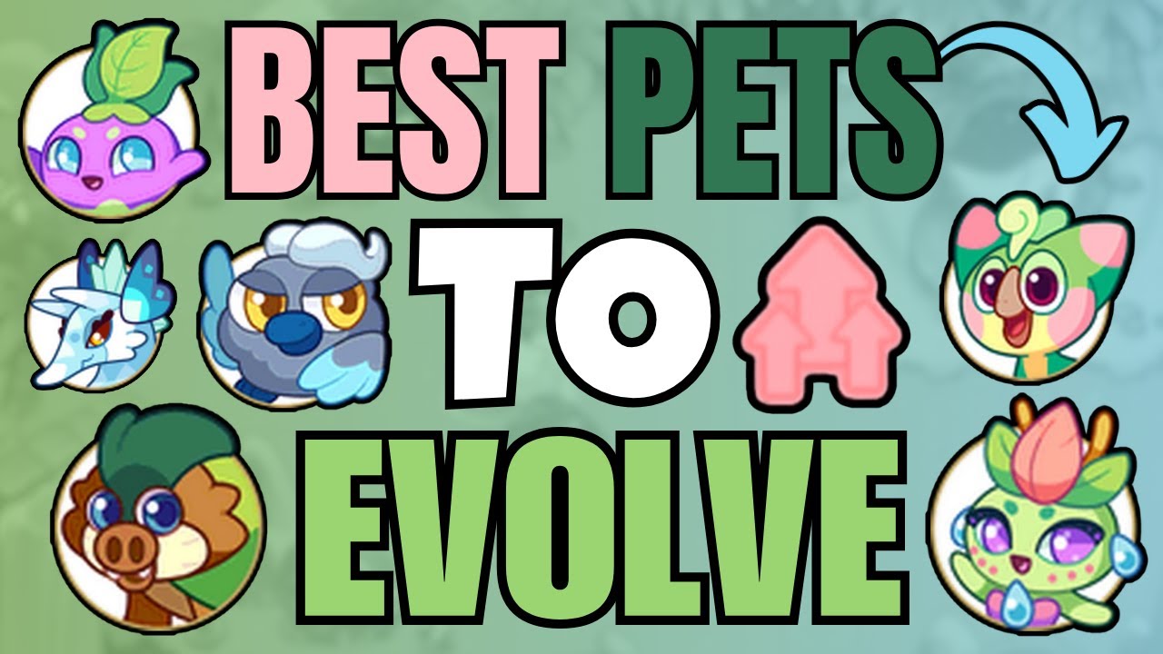 The BEST Pets to Evolve in Prodigy! Part 6 | Prodigy Math Game