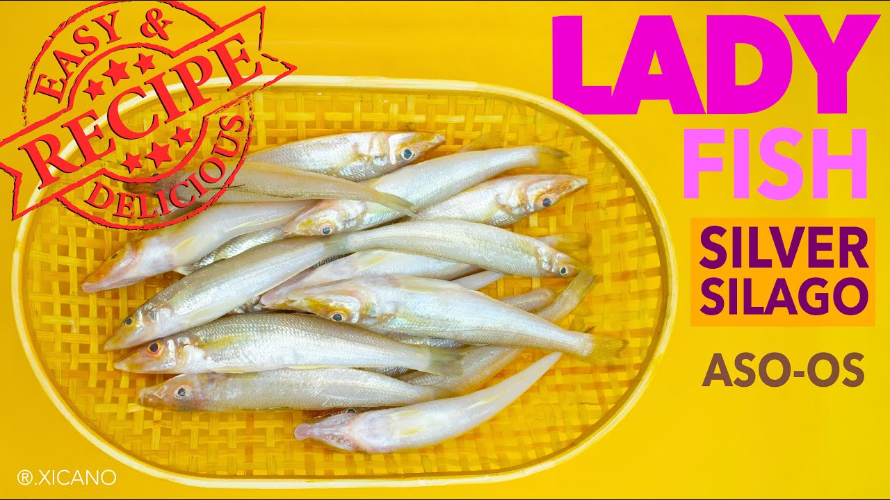Lady fish | Silver Silago | Aso-os