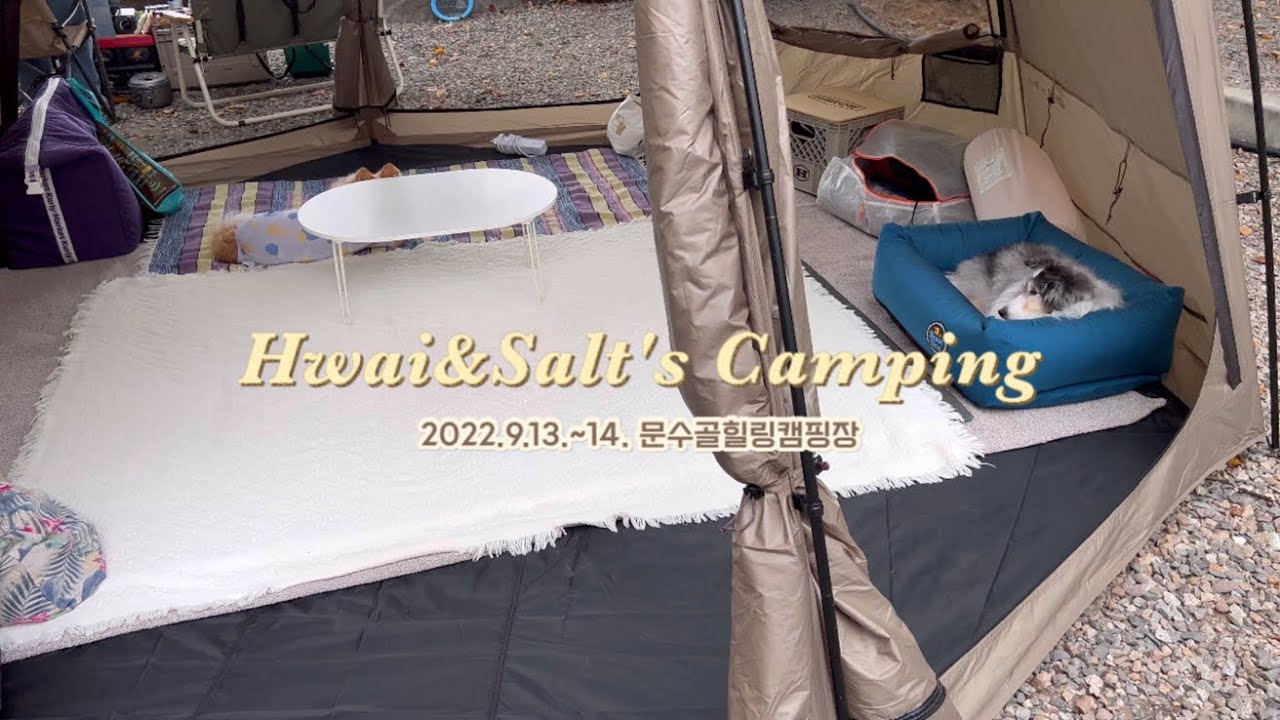 강아지들과 노을이 예쁜 호수에서 캠핑하기 | 문수골힐링캠핑장 | 애견동반캠핑
