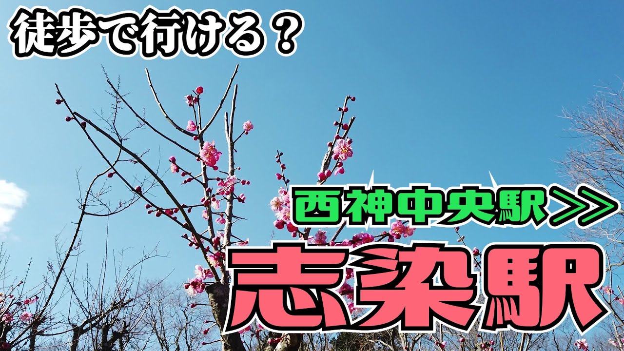 ぶらり #91 【オモロい感じで歩こう】西神中央駅～志染駅