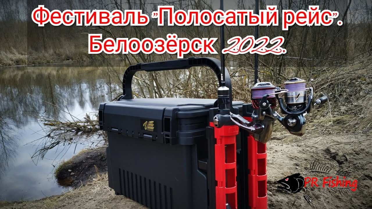 Фестиваль 