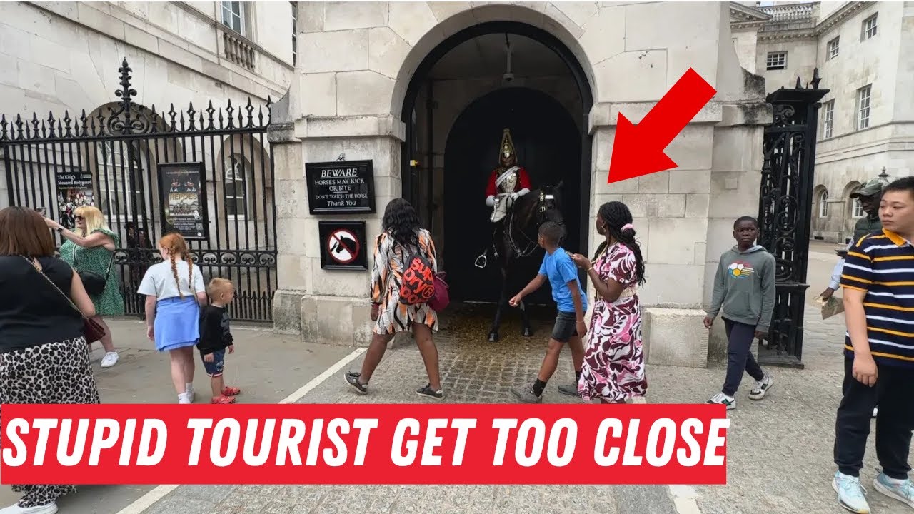 Guard LOSES PATIENCE with Tourists Who Step Too Close to Horse’s Mouth!