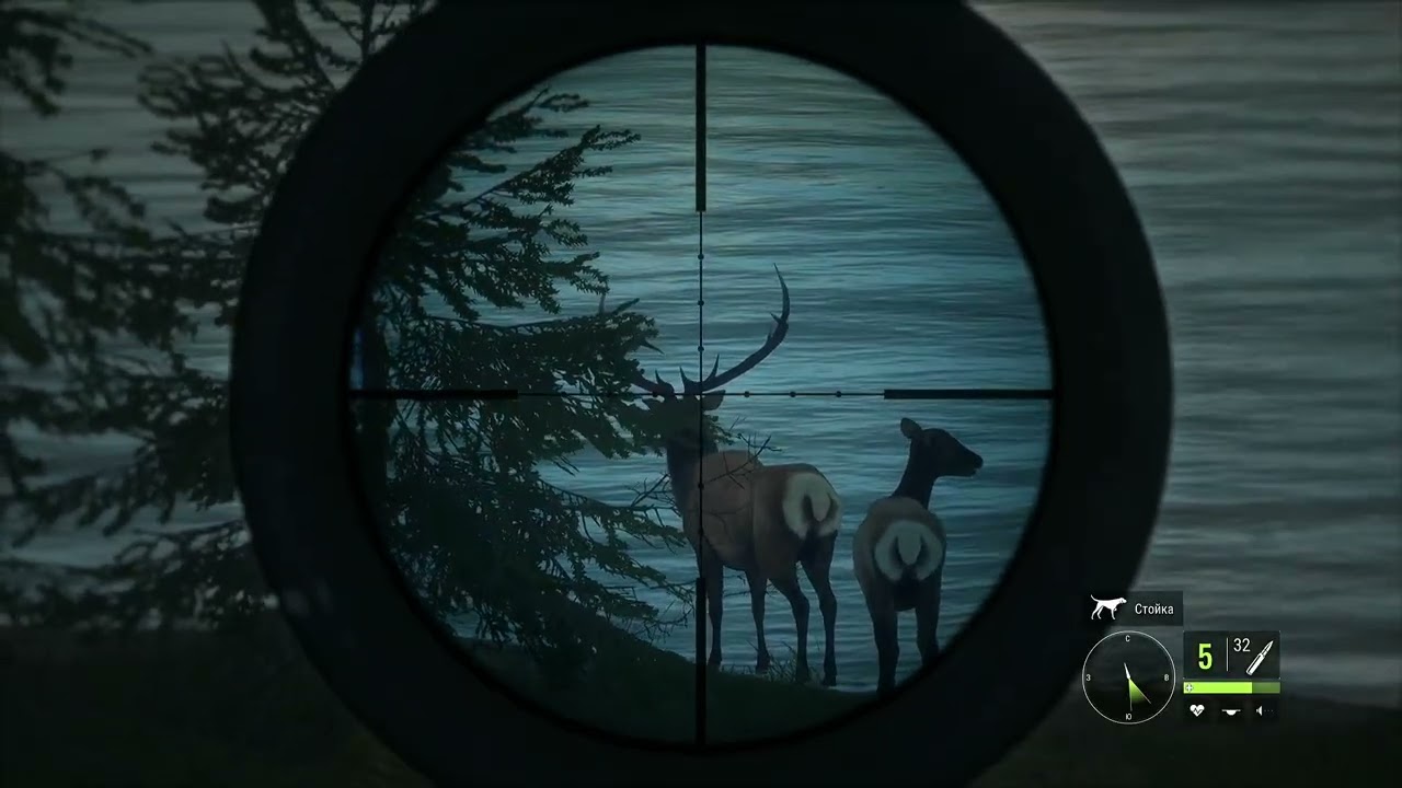 The Hunter call of the wild часть 19