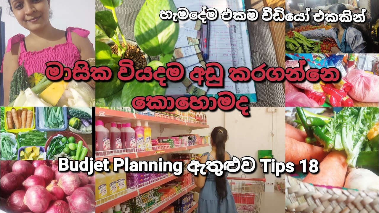 මාසික වියදම අඩු කරගන්නෙ කොහොමද 😊💰💯 මාසෙ මැද හිර නොවී,කෑම බීම හිගනොවී ආදායම බැලන්ස් කරගමුද 🎯📌️🌿🤍