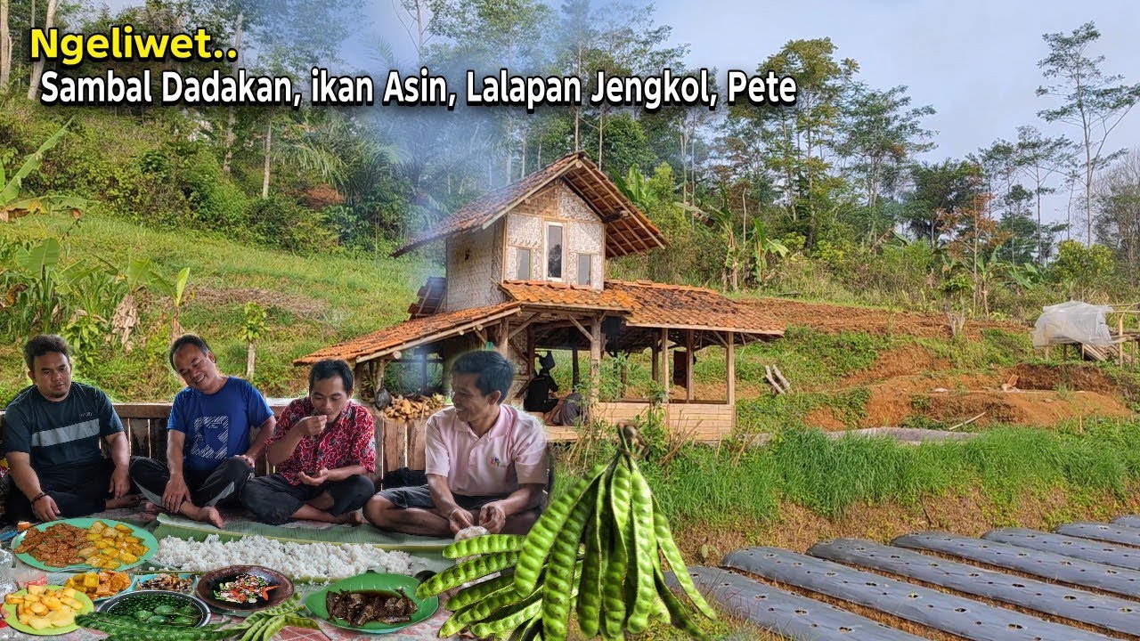 Nikmat.. Ngaliwet di Gubuk Sawah Pinggir Hutan, Ikan Asin Lalapan Jengkol, Pete Sambal Dadakan