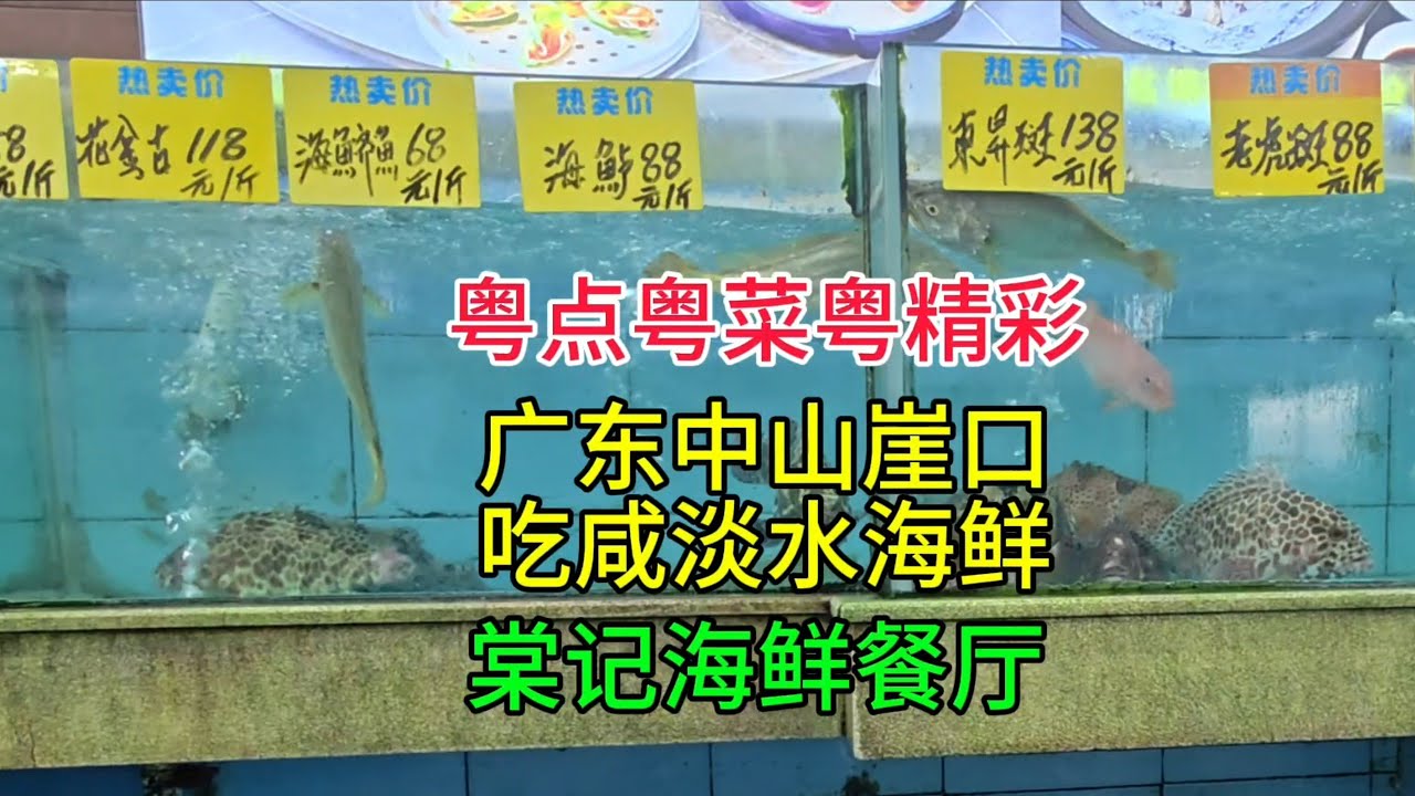 粤点粤菜粤精彩，广东中山崖口吃咸淡水海鲜，棠记海鲜餐厅，粤语中字幕2025-11-9