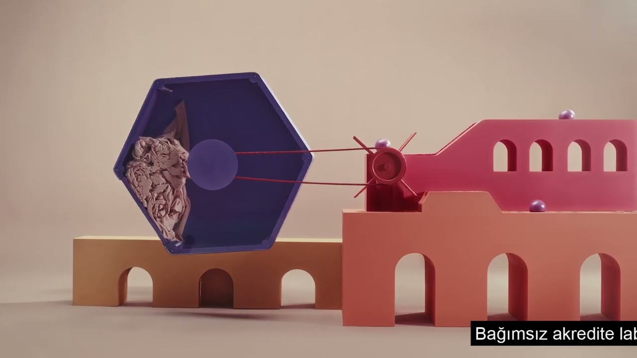 Penti Lab Boncuklanma Testi