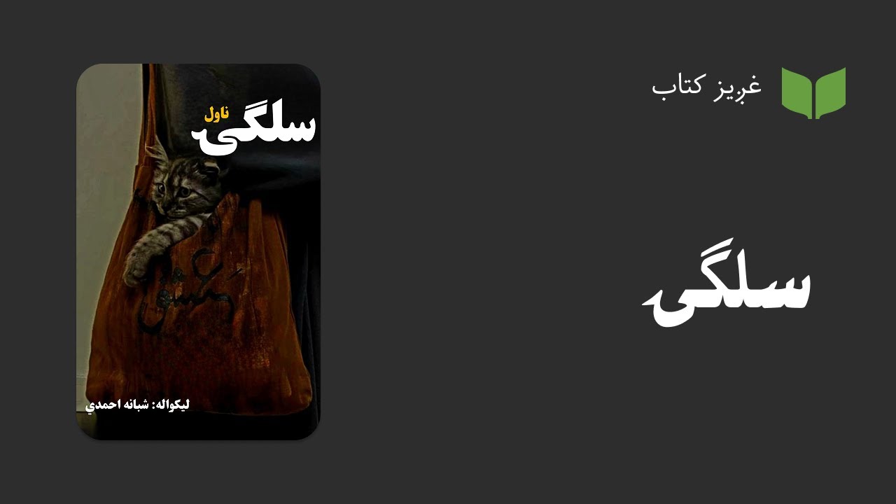 پښتو غږیز کتاب:‌سلګۍ (ناول)