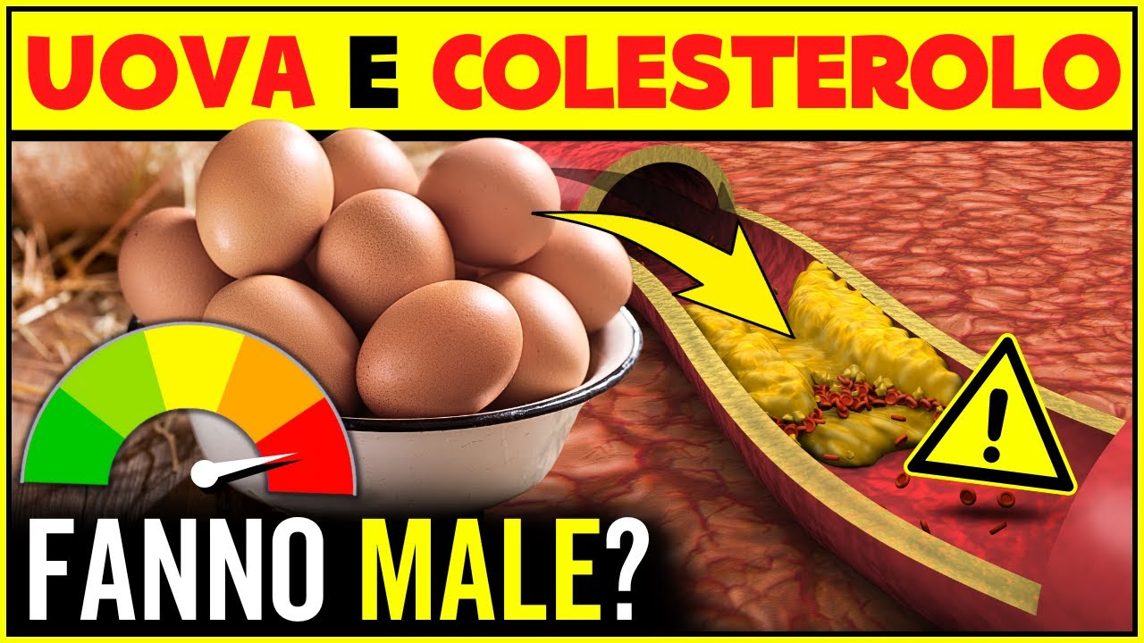 Le Uova Fanno Aumentare Il Colesterolo e Il Rischio Di Infarto? Ecco Cosa Dice La Scienza!