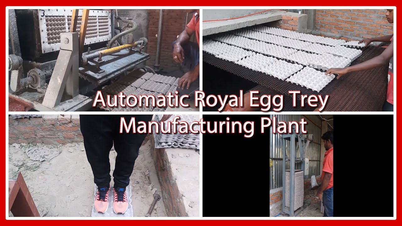 Fully Automatic Royal Egg Tray plant |Bihar's first fully automatic egg tray manufacturing plant|